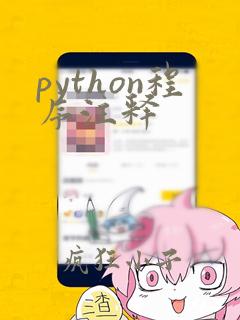 python程序注释