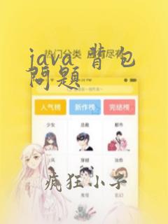 java 背包问题