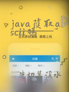 java获取ascii码