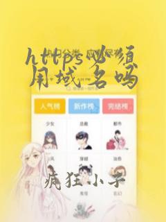 https必须用域名吗