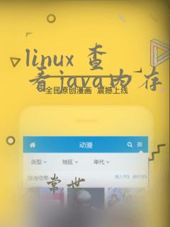linux 查看java内存