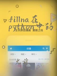 fillna在python中的用法