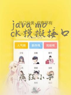 java mock模拟接口测试