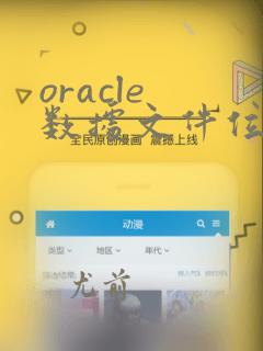 oracle 数据文件位置