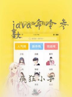 java命令参数