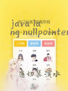 java lang nullpointerexception