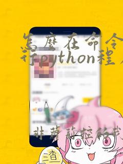 怎么在命令行运行python程序