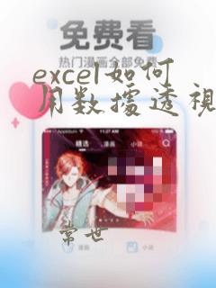excel如何用数据透视表分类汇总求和