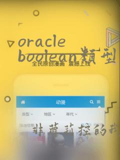 oracle boolean类型