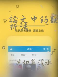 论文中的数据分析法