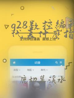 g28数控编程代表什么指令