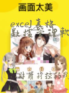 excel表格数据管理软件