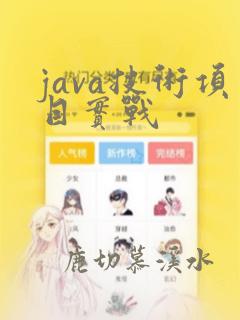 java技术项目实战