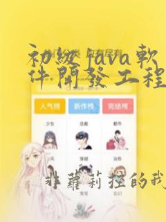 初级java软件开发工程师