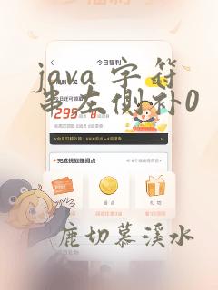 java 字符串左侧补0