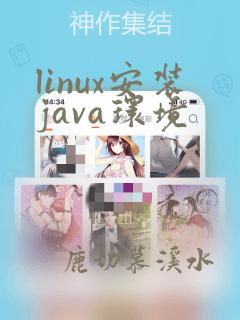 linux安装java环境