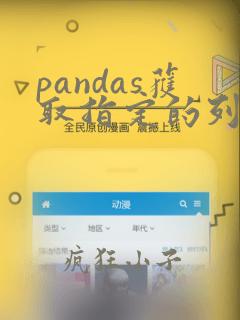 pandas获取指定的列和行