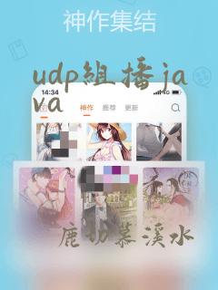 udp组播java