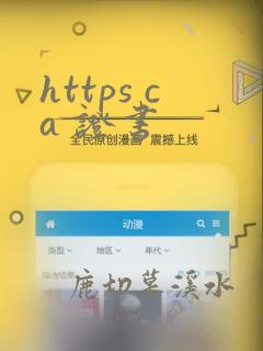 https ca 证书