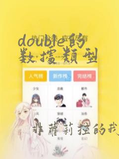 double的数据类型