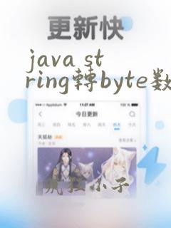 java string转byte数组