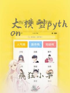 大模型python