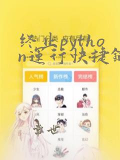 终止python运行快捷键