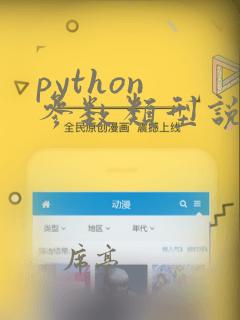 python 参数类型说明