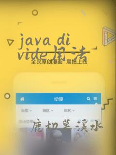java divide用法