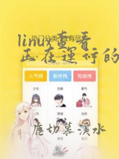 linux查看正在运行的java
