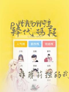 python注释代码段