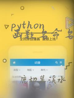 python 函数名命名