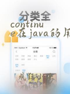 continue在java的用法