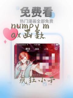 numpy max函数