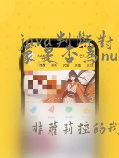 java判断对象是否为null和空