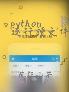 python 逐行读文件