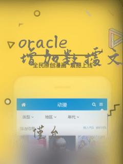 oracle 增加数据文件