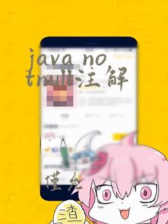 java notnull注解