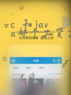c  和java哪个工资高