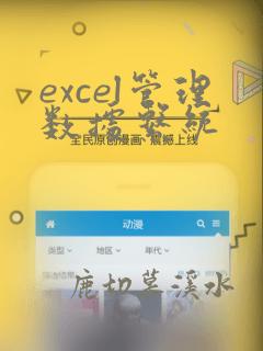 excel管理数据系统