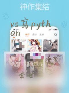 vs写python