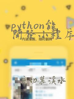 python能开发小程序吗