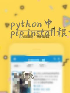 python中pip install报错