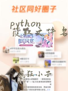 python 获取文件名称
