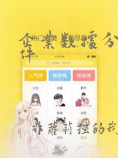 企业数据分析软件