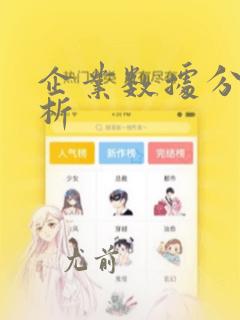企业数据分析分析