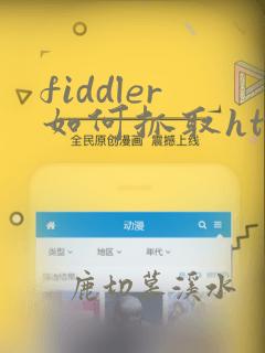 fiddler如何抓取https请求