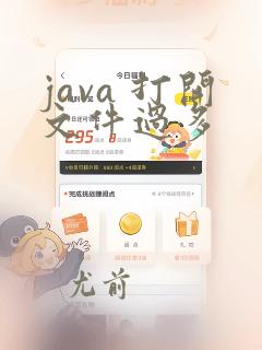 java 打开文件过多