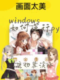 windows如何运行python