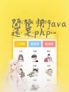 开发用java还是php